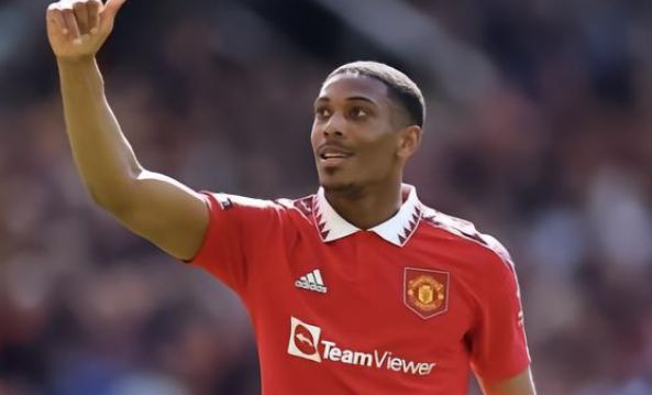 强调整体战 强调整体战